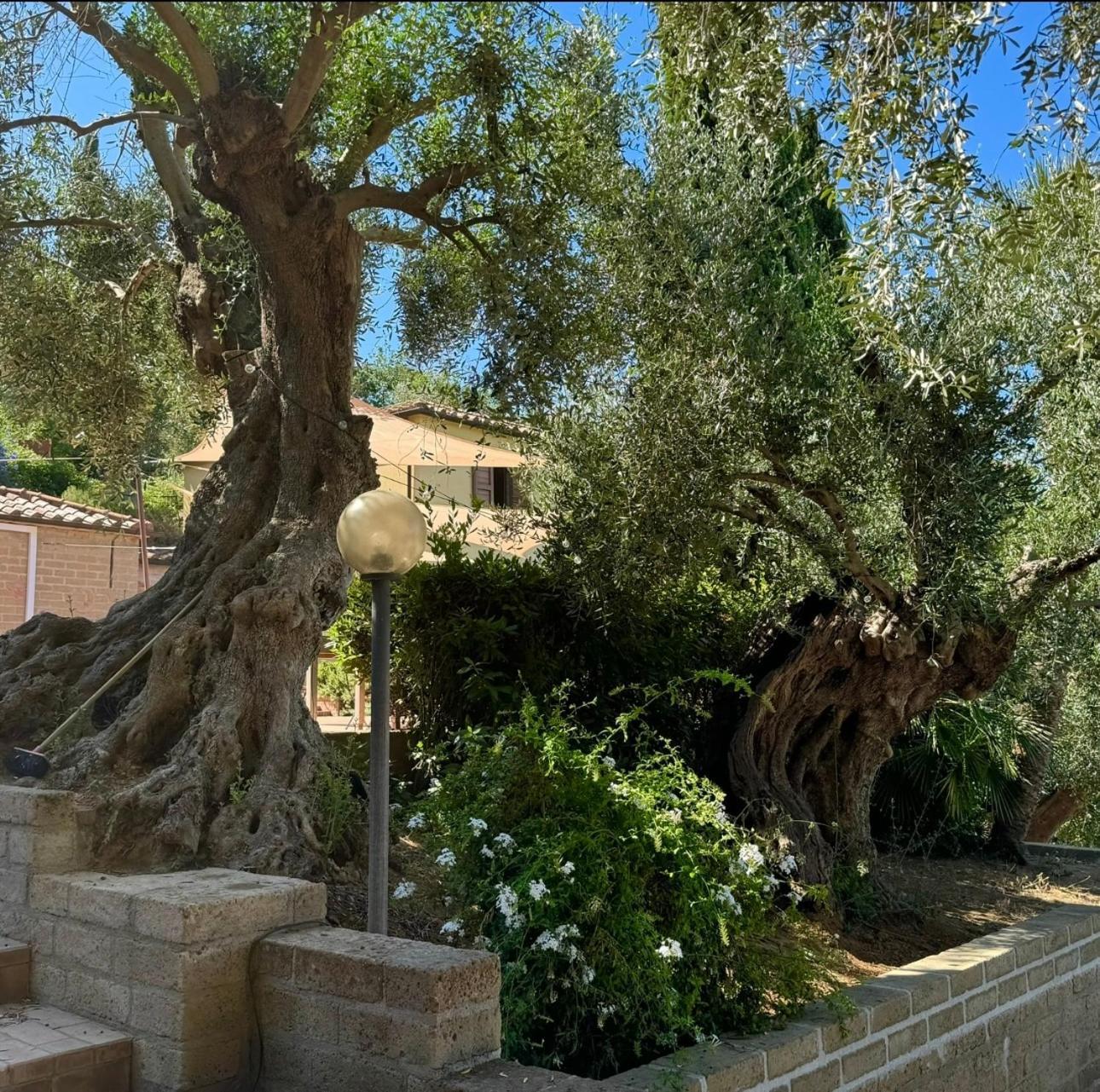 Madonna Del Poggio Cav Aparthotel Scarlino Exteriör bild