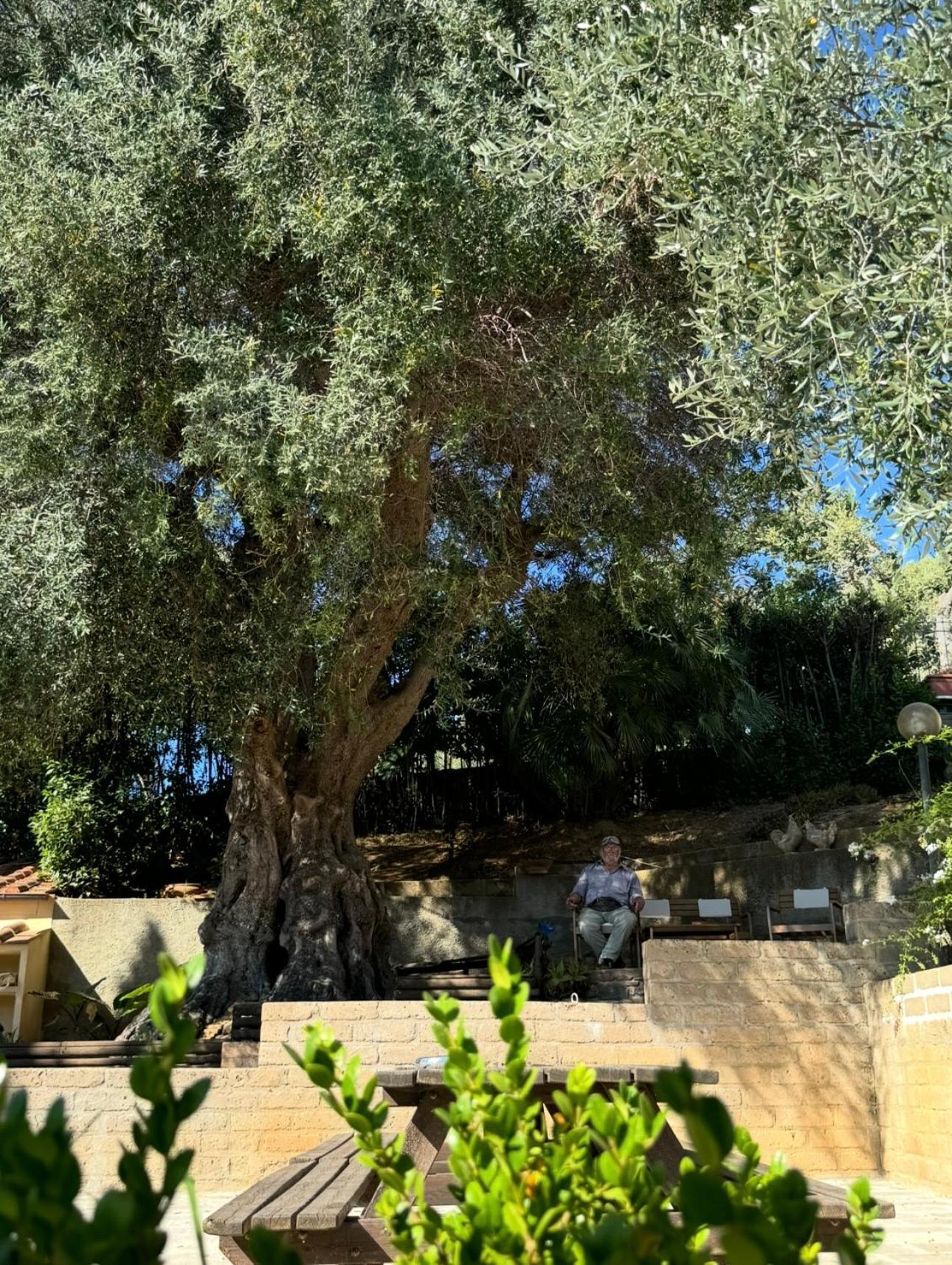 Madonna Del Poggio Cav Aparthotel Scarlino Exteriör bild